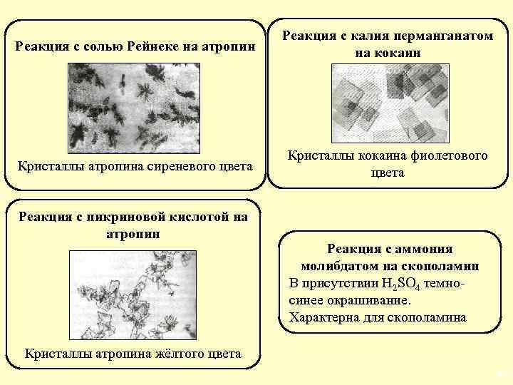 Реакция с солью Рейнеке на атропин Реакция с калия перманганатом на кокаин Кристаллы атропина