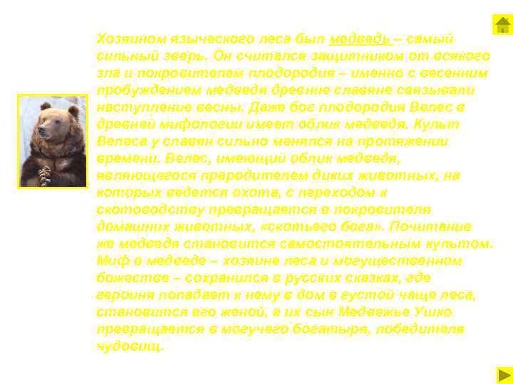 Хозяином языческого леса был медведь – самый сильный зверь. Он считался защитником от всякого