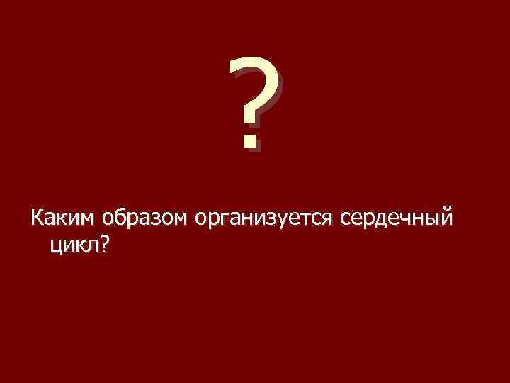 ? Каким образом организуется сердечный цикл? 