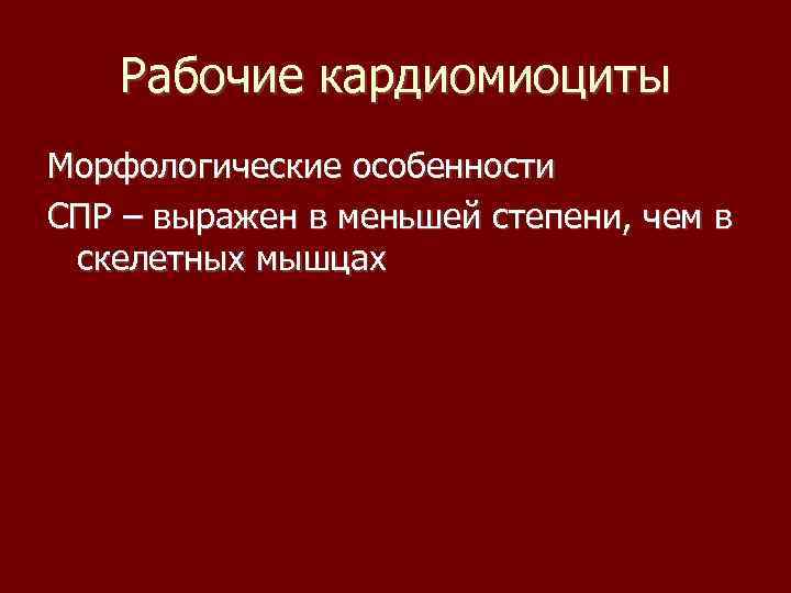 Рабочие кардиомиоциты Морфологические особенности СПР – выражен в меньшей степени, чем в скелетных мышцах