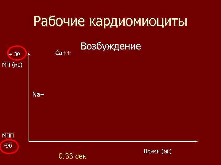 Рабочие кардиомиоциты Ca++ + 30 Возбуждение МП (мв) Na+ МПП -90 0. 33 сек