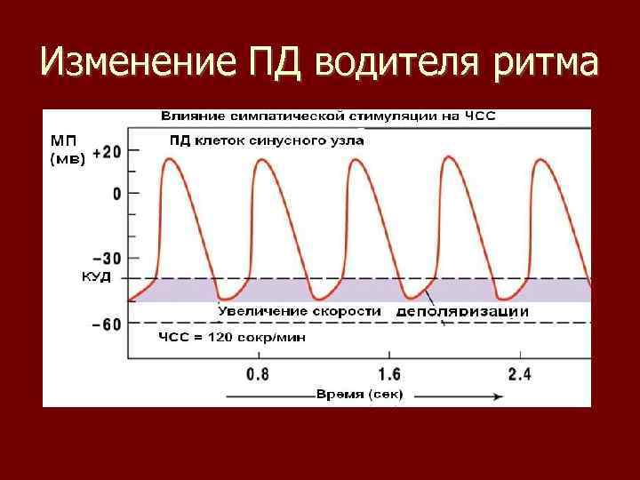 Изменение ПД водителя ритма 