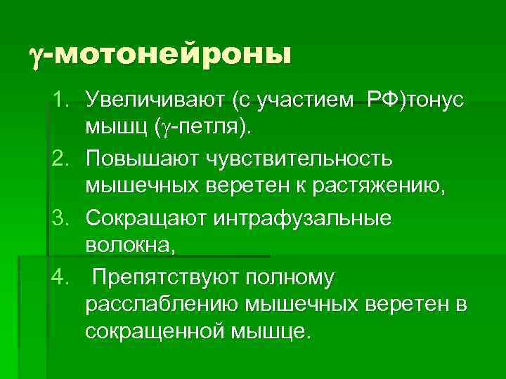  -мотонейроны 1. Увеличивают (с участием РФ)тонус мышц ( -петля). 2. Повышают чувствительность мышечных