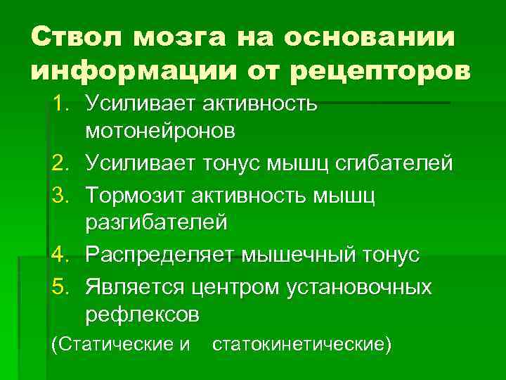 Ствол мозга на основании информации от рецепторов 1. Усиливает активность мотонейронов 2. Усиливает тонус