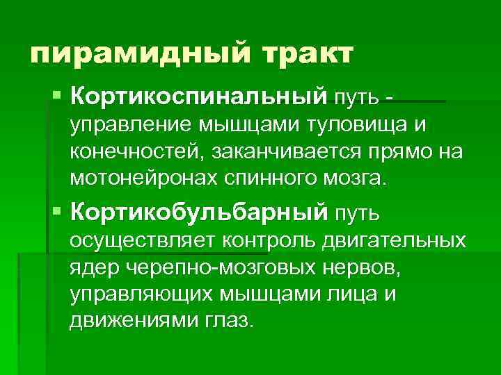 пирамидный тракт § Кортикоспинальный путь управление мышцами туловища и конечностей, заканчивается прямо на мотонейронах