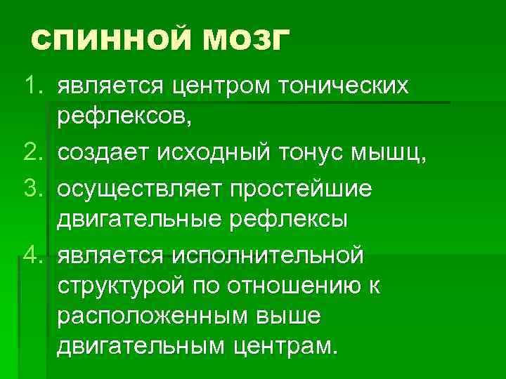 СПИННОЙ МОЗГ 1. является центром тонических рефлексов, 2. создает исходный тонус мышц, 3. осуществляет