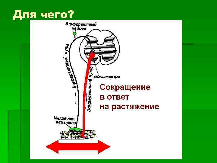 Для чего? 