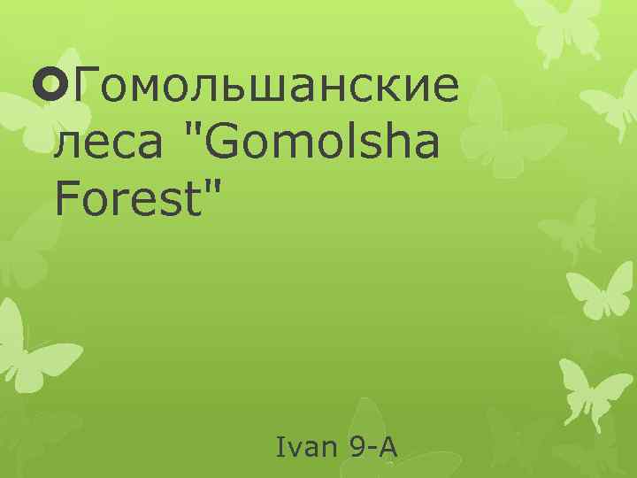  Гомольшанские леса 