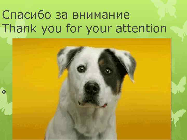Спасибо за внимание Thank you for your attention 
