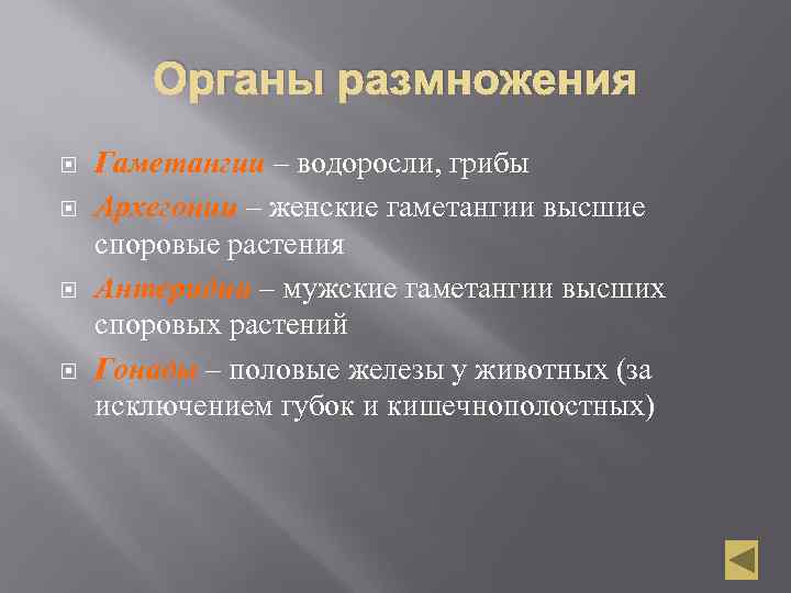 Органы размножения Гаметангии – водоросли, грибы Архегонии – женские гаметангии высшие споровые растения Антеридии