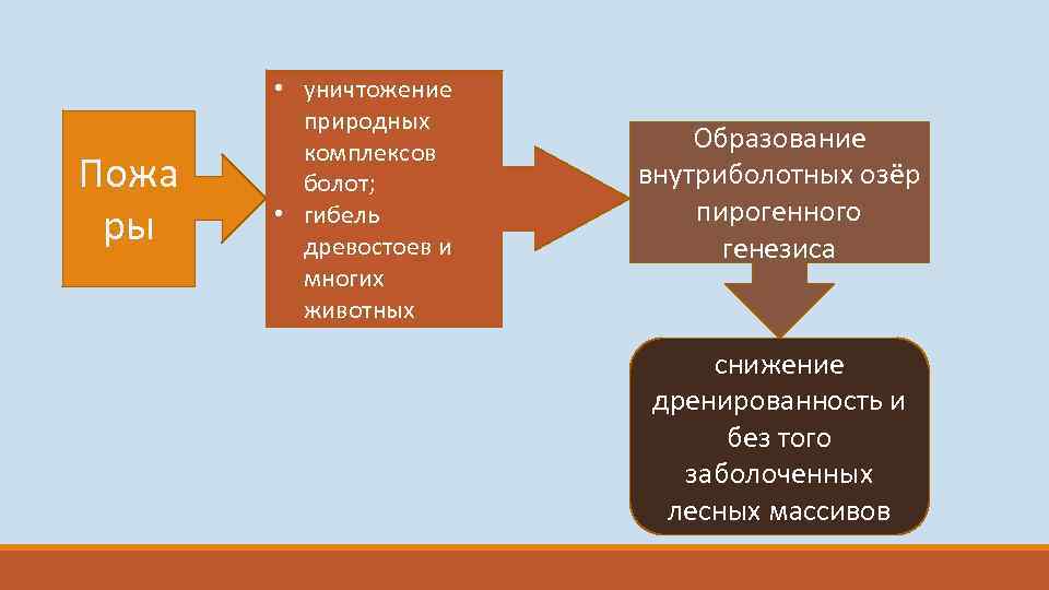 Как энергетическая отрасль страны способствует гибели болот. Пирогенные леса. План схема природного комплекса болото. Природные комплексы болот. Дренированность это.