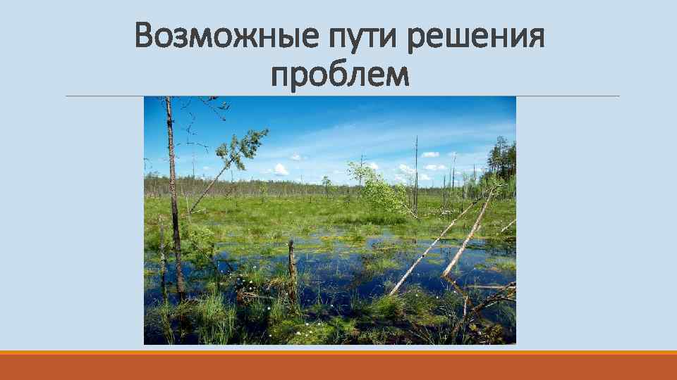 Болото проблем. Экологические проблемы болота. Экологические проблемы болот. Экологические проблемы Васюганских болот. Влияние человека на сообщество болота.