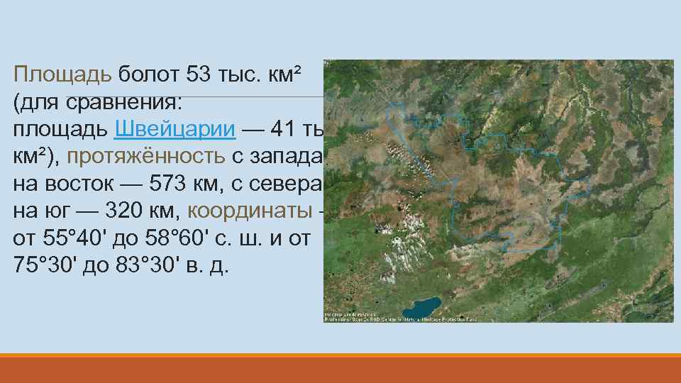 Размер болота. Васюганские болота на карте. Где находится Васюганское болото на карте России в атласе.