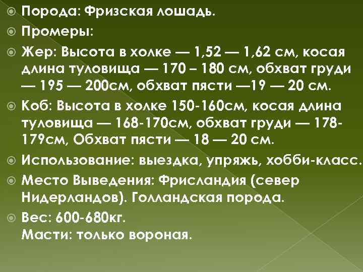  Порода: Фризская лошадь. Промеры: Жер: Высота в холке — 1, 52 — 1,