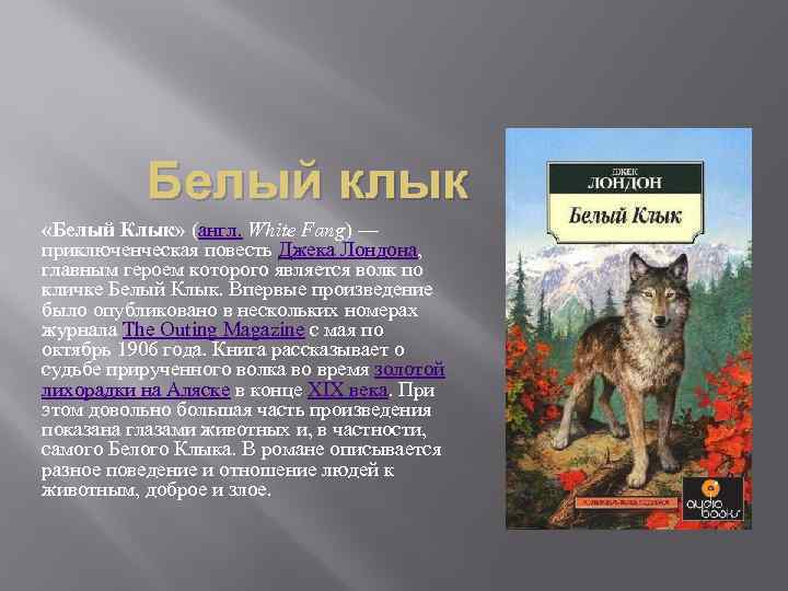 Белый клык джека лондона читать краткое. Бурый волк Джек Лондон. Книга белый клык (Лондон Джек). Рассказ Дж. Лондон бурый волк.