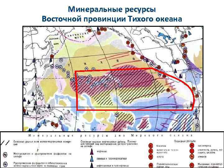 Минеральные ресурсы Восточной провинции Тихого океана 