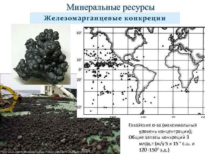 Минеральные ресурсы Железомарганцевые конкреции Гавайские о-ва (максимальный уровень концентрации); Общие запасы конкреций 3 млрд.