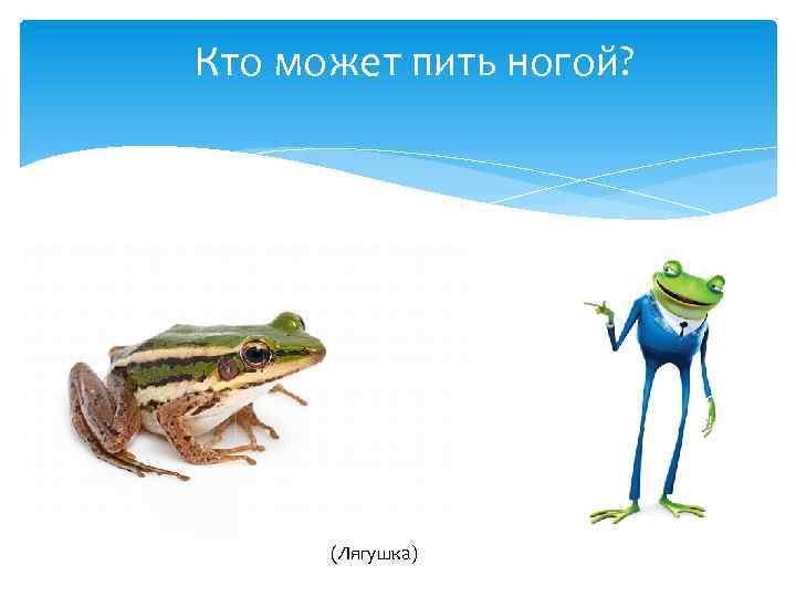 Кто может пить ногой? (Лягушка) 