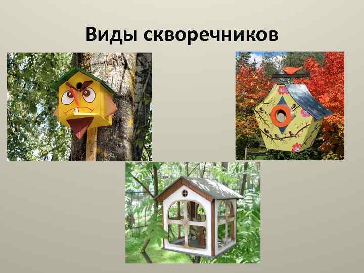 Виды скворечников 