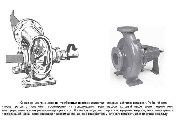 Характерным признаком центробежных насосов является непрерывный поток жидкости. Рабочий орган насоса, ротор с лопатками,