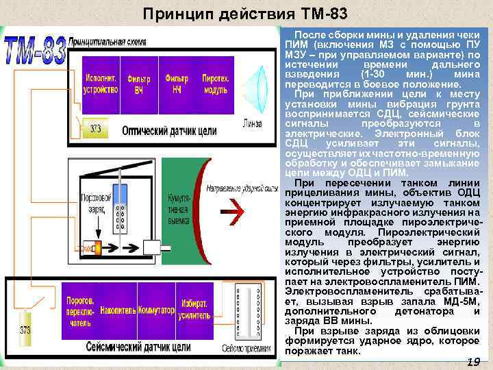 Принцип действия ТМ-83 После сборки мины и удаления чеки ПИМ (включения МЗ с помощью