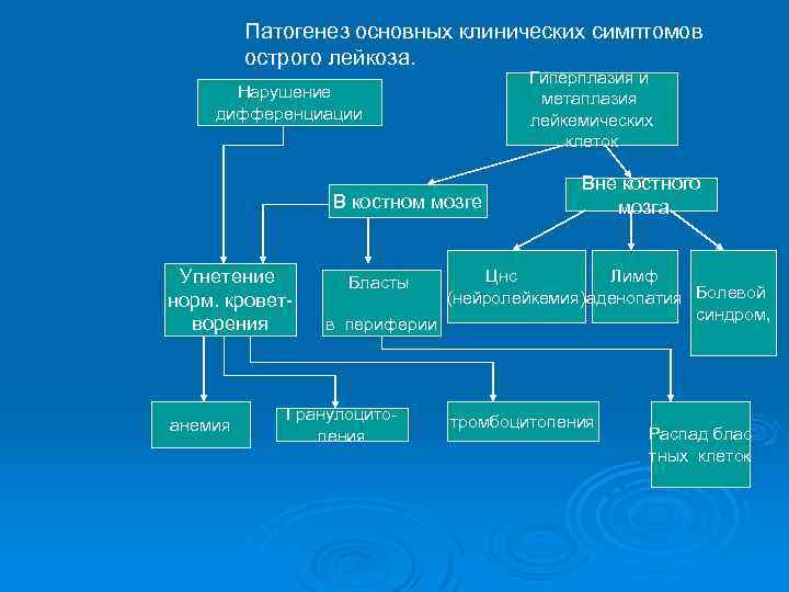 Патогенез основных клинических симптомов острого лейкоза. Гиперплазия и метаплазия лейкемических клеток Нарушение дифференциации В