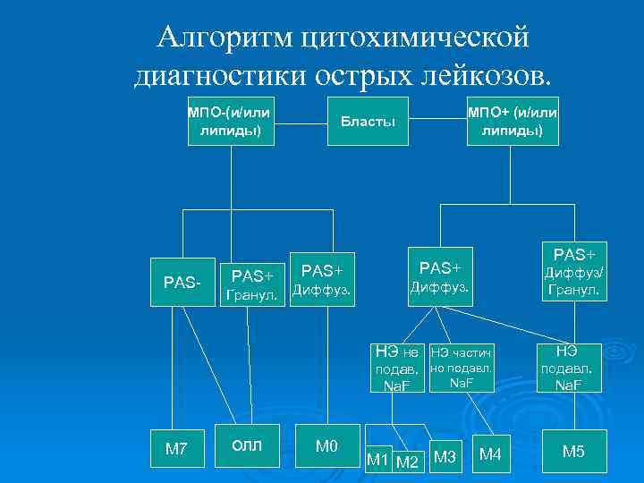 Алгоритм цитохимической диагностики острых лейкозов. МПО-(и/или липиды) PAS- PAS+ Гранул. МПО+ (и/или липиды) Бласты