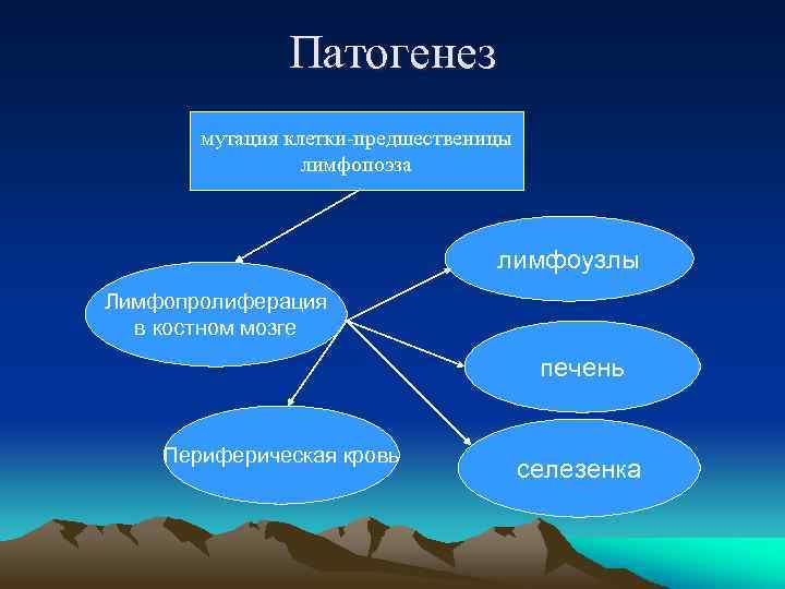 Патогенез мутация клетки-предшественицы лимфопоэза лимфоузлы Лимфопролиферация в костном мозге печень Периферическая кровь селезенка 