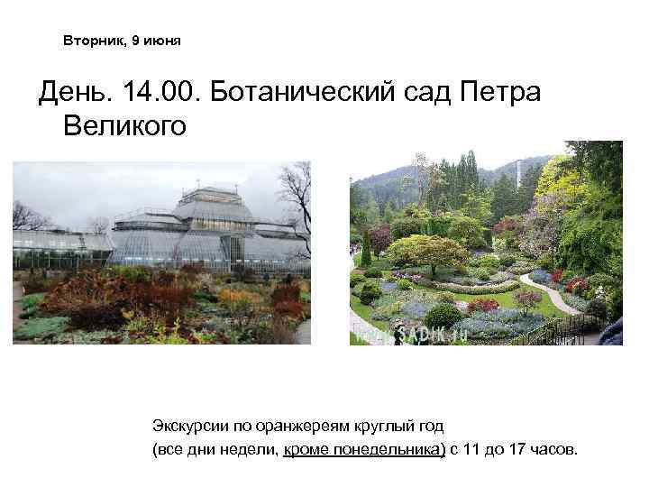 Вторник, 9 июня День. 14. 00. Ботанический сад Петра Великого Экскурсии по оранжереям круглый