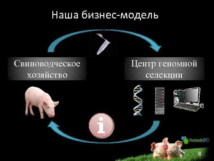 Наша бизнес-модель Свиноводческое хозяйство Центр геномной селекции 8 