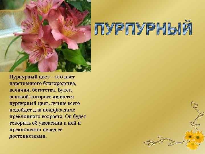 ПУРПУРНЫЙ Пурпурный цвет – это цвет царственного благородства, величия, богатства. Букет, основой которого является