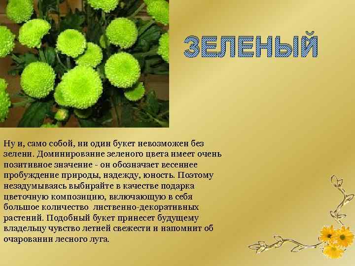 ЗЕЛЕНЫЙ Ну и, само собой, ни один букет невозможен без зелени. Доминирование зеленого цвета