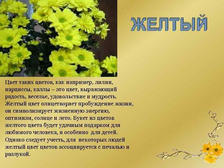 ЖЕЛТЫЙ Цвет таких цветов, как например, лилии, нарциссы, каллы – это цвет, выражающий радость,