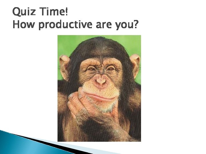 Quiz Time! How productive are you? 