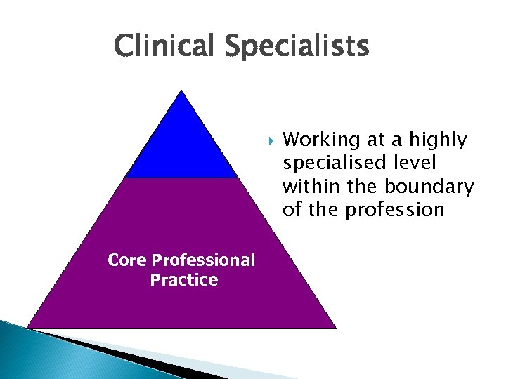 Clinical Specialists Core Professional Practice Working at a highly specialised level within the boundary