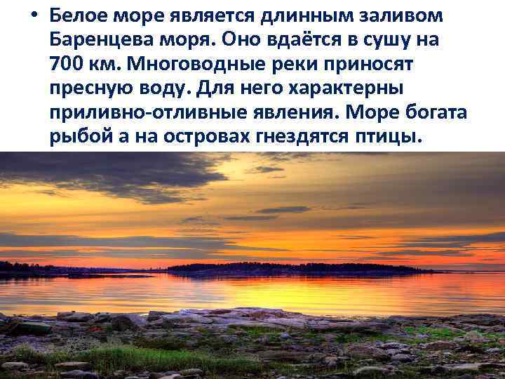 Море является. Внутренними морями являются белое. Ресурсы белого моря. Характеристика Баренцева и белого моря. Характеристика воды белого моря.