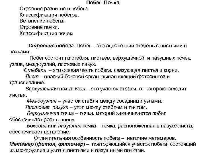 Побег. Почка. Строение развитие и побега. Классификация побегов. Ветвление побега. Строение почки. Классификация почек.