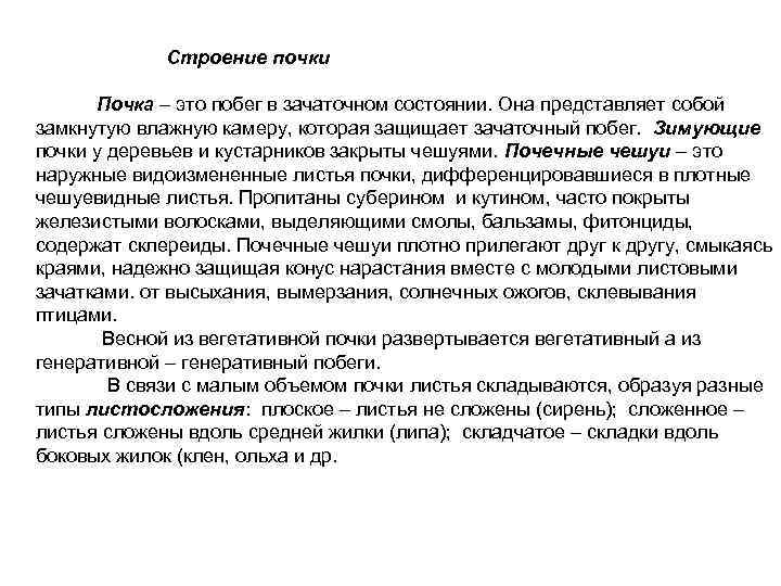  Строение почки Почка – это побег в зачаточном состоянии. Она представляет собой замкнутую