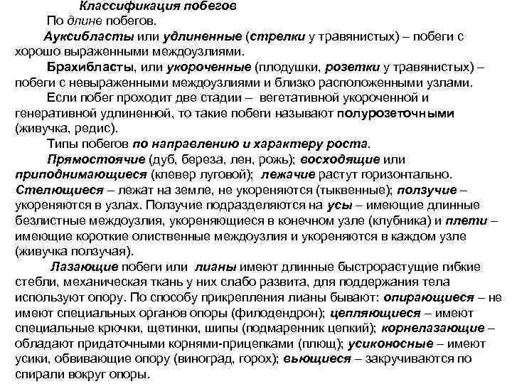  Классификация побегов По длине побегов. Ауксибласты или удлиненные (стрелки у травянистых) – побеги