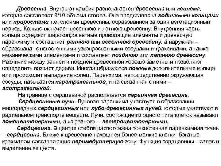 Древесина. Внутрь от камбия располагается древесина или ксилема, которая составляет 9/10 объема ствола. Она