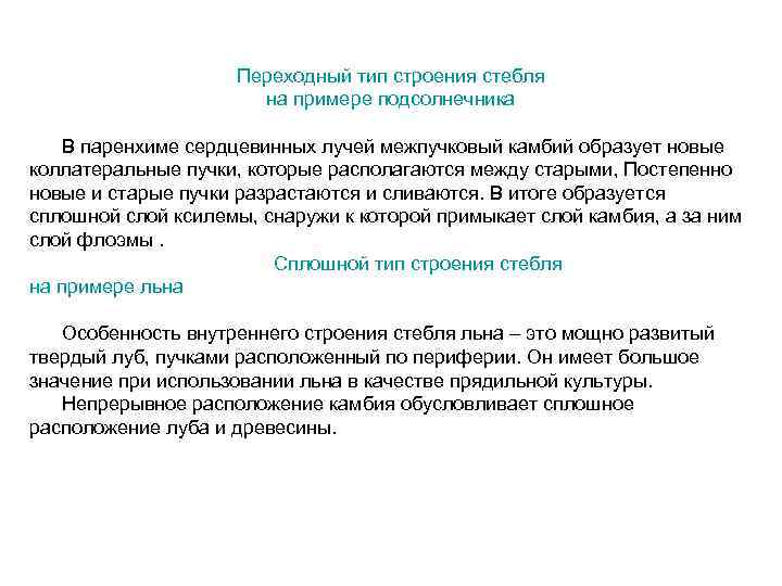 Переходный тип строения стебля на примере подсолнечника В паренхиме сердцевинных лучей межпучковый камбий образует