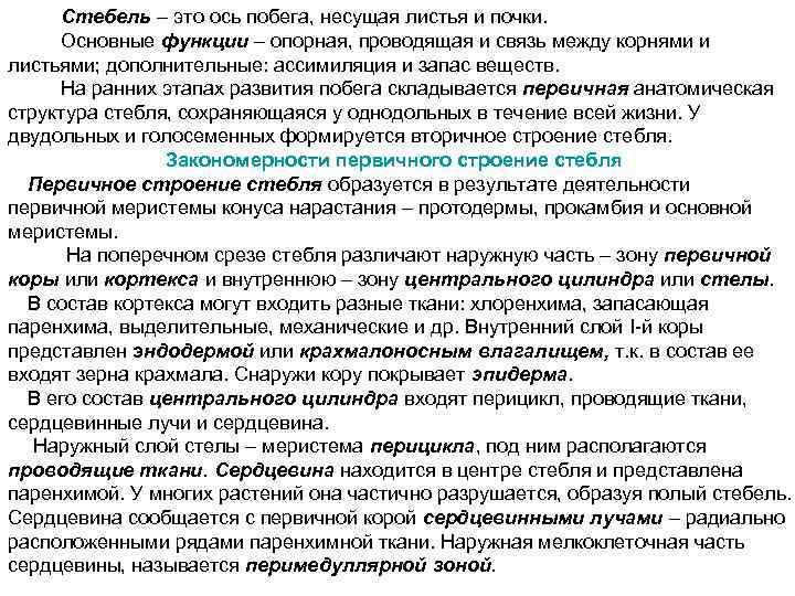 Стебель – это ось побега, несущая листья и почки. Основные функции – опорная, проводящая