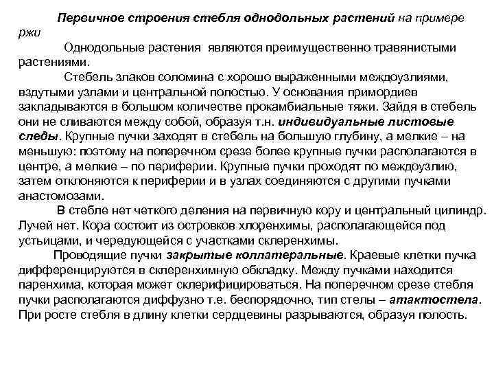 Первичное строения стебля однодольных растений на примере ржи Однодольные растения являются преимущественно травянистыми растениями.