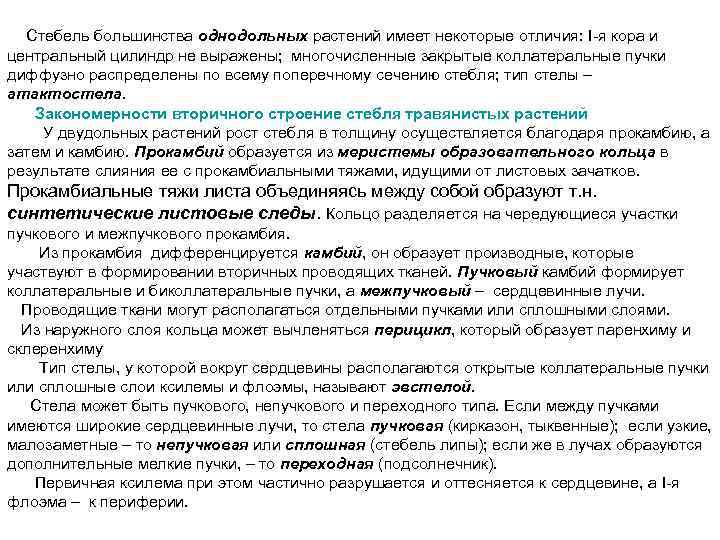  Стебель большинства однодольных растений имеет некоторые отличия: I я кора и центральный цилиндр