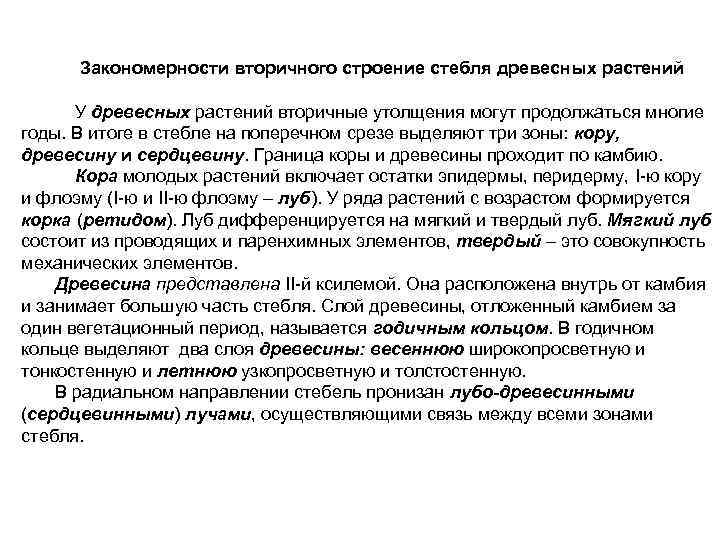  Закономерности вторичного строение стебля древесных растений У древесных растений вторичные утолщения могут продолжаться