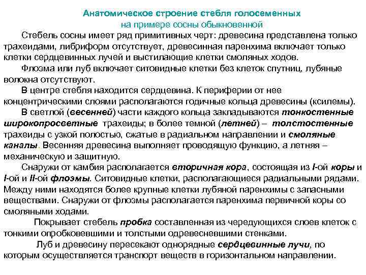 Анатомическое строение стебля голосеменных на примере сосны обыкновенной Стебель сосны имеет ряд примитивных черт: