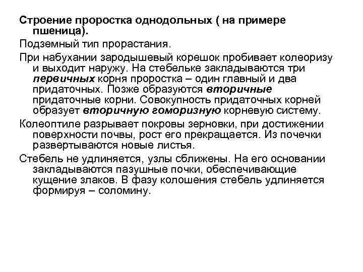 Строение проростка однодольных ( на примере пшеница). Подземный тип прорастания. При набухании зародышевый корешок