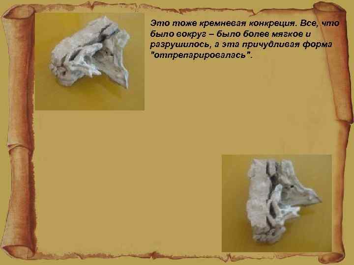 Это тоже кремневая конкреция. Все, что было вокруг – было более мягкое и разрушилось,