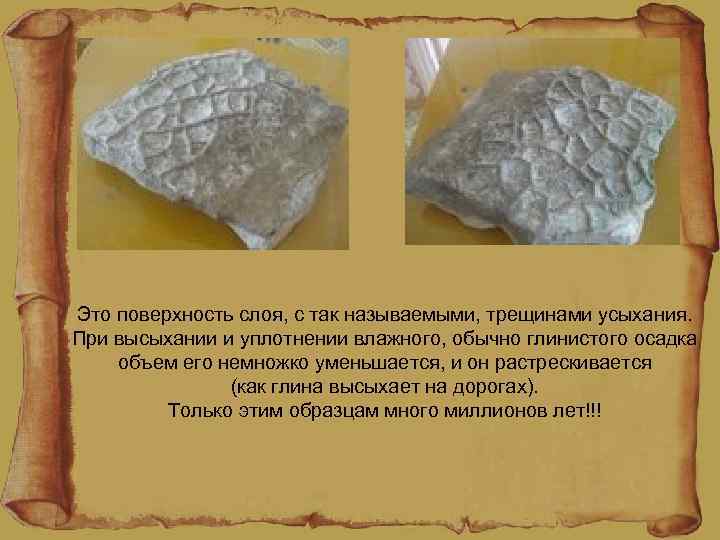 Это поверхность слоя, с так называемыми, трещинами усыхания. При высыхании и уплотнении влажного, обычно