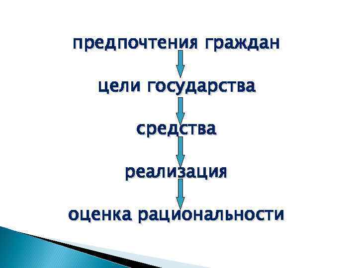 предпочтения граждан цели государства средства реализация оценка рациональности 